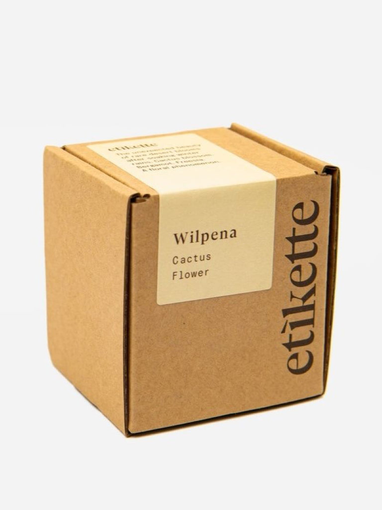 Wilpena ~ Cactus Flower Soy Candle